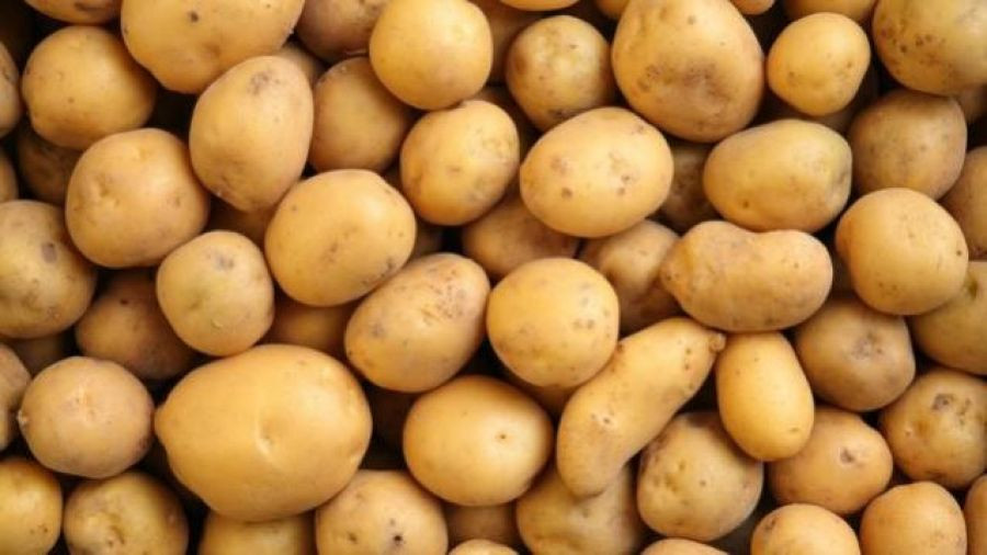 Fresh Potato